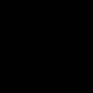 Meet your Posher, Jackson